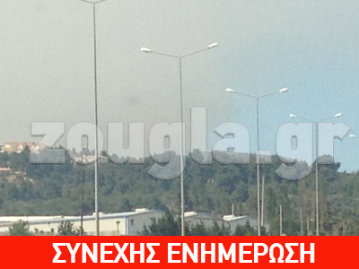 Μεγάλη πυρκαγιά στον Ωρωπό – Κινδυνεύουν κατοικίες