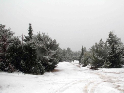 Κλειστή η Λ. Πάρνηθος