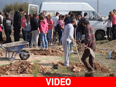 Μετέτρεψαν σκουπιδότοπο σε… μικρό δάσος!