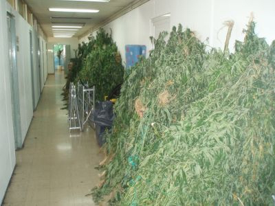 Σιγά την είδηση…