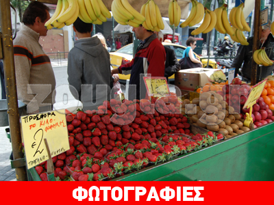 Σαπίζουν απούλητες οι φράουλες