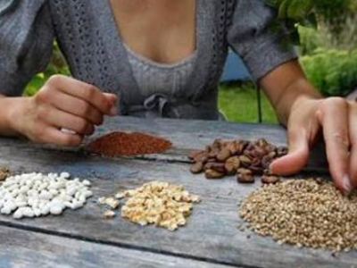 Χανιά: Ανταλλακτήριο παραδοσιακών σπόρων