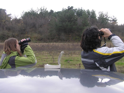 Θεσσαλονίκη: 10ος Αγώνας Παρατήρησης Πουλιών