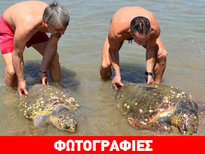 Τραυματισμένες καρέτα-καρέτα στην Αργολίδα