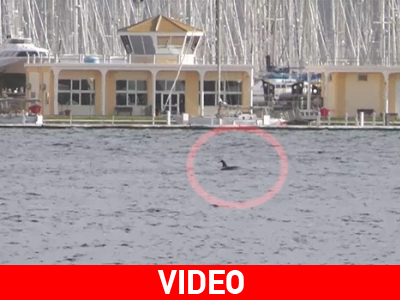 Ένα υπέροχο θέαμα