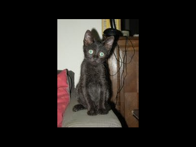 Ψάχνει ένα ζεστό σπίτι