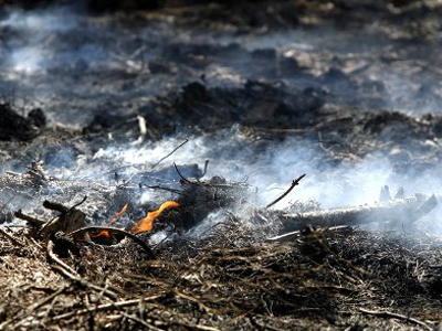 Σύλληψη 67χρονου στο Καπανδρίτι για απόπειρα εμπρησμού Σύλληψη 67χρονου στο Καπανδρίτι για απόπειρα εμπρησμού