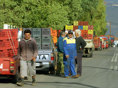 Οι αμπελουργοί «κατεβαίνουν» στην Αχαρνών