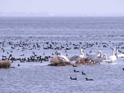 Μολυσμένα τα διασυνοριακά ποτάμια