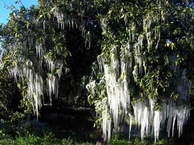 Στο εδώλιο για «φουσκωμένες» αποζημιώσεις