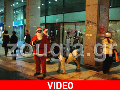 Κακοποίηση ζώων στο κέντρο της Αθήνας Κακοποίηση ζώων στο κέντρο της Αθήνας