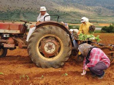 Περιπετειώδης καταδίωξη στους… αγρούς των Σερρών