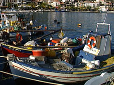 «Τέλος» στα οστρακοειδή λόγω τοξικού φυτοπλαγκτού