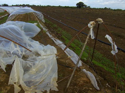 Ανεμοστρόβιλος «σάρωσε» τα Λεχαινά