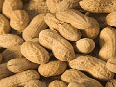 Μπλόκο σε φορτίο με τοξικά φιστίκια