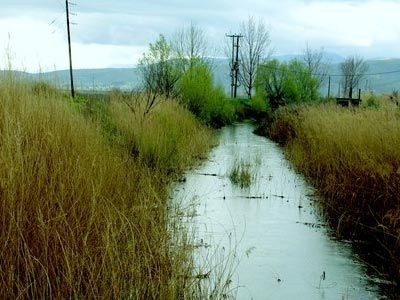 Νεκρός ο αγρότης που έπεσε με τρακτέρ σε αρδευτικό κανάλι
