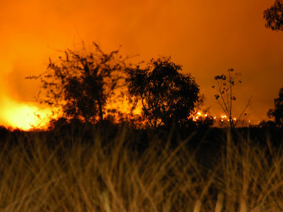 Ο εφιάλτης επέστρεψε στην Αυστραλία