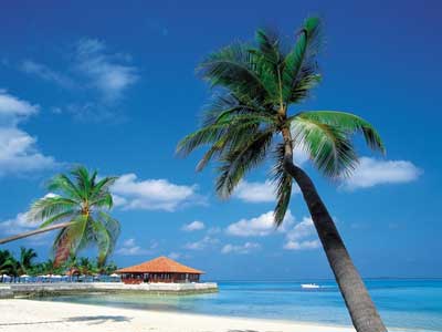 Εξωτικό ταξίδι