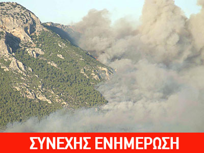 Σε ύφεση η πυρκαγιά στην Εύβοια – Δεν απειλούνται οικισμοί