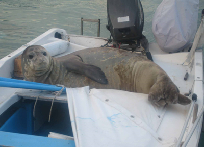 Monaχικές… βαρκάδες στη Ρόδο