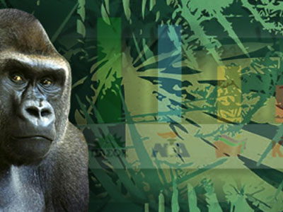 Το βράδυ τα αποτελέσματα της Ανοικτής Ψηφοφορίας