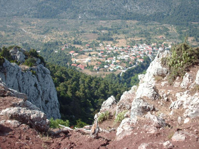 Έπεσε σε γκρεμό ενώ μάζευε χόρτα