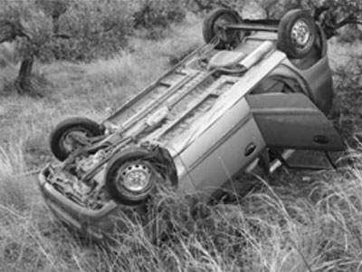 Είδε τις ελιές… ανάποδα