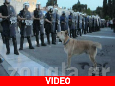 Σούζα τα ΜΑΤ μπροστά στον «διαδηλωτή»