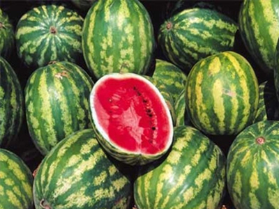 Μετανάστες κρυμμένοι σε φορτίο με καρπούζια