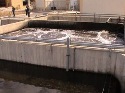 Υπερμεγέθεις κατσαρίδες βγήκαν στην Καλαμάτα