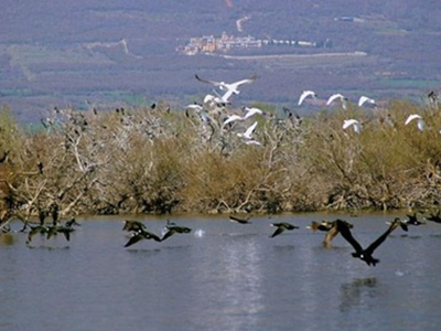 Ψαράδες καθάρισαν τη λίμνη Κερκίνη