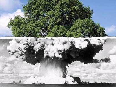 «Ναυάγησε» εν τη γενέσει της