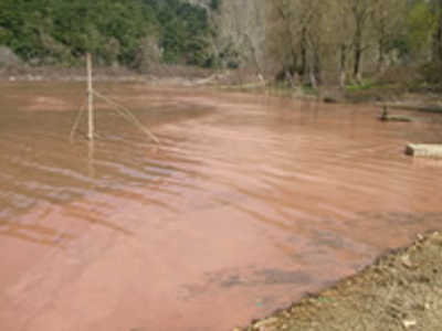 Τοξίνες στη λίμνη Ζηρού