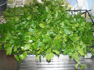 Τα άκουσαν οι τηλεοπτικοί… μαϊντανοί