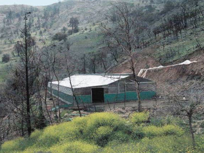 Ρήμαξαν ποιμνιοστάσιο στη Θάσο