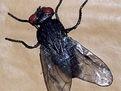 Η νευρική κυρία των Κ.Ε.Π.