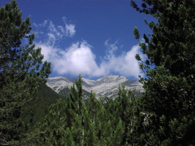 Στη Λάρισα… μέσω δάσους