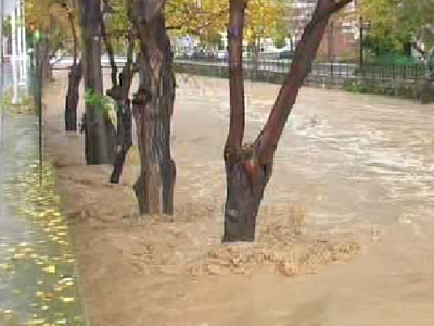Σημαντικές ζημιές στις καλλιέργειες του Έβρου