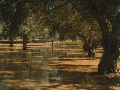 Καταστροφές στις καλλιέργειες