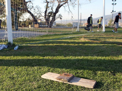 Ο φακός «αποκαλύπτει» τους θερμόαιμους