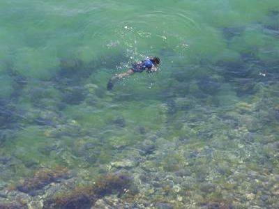 Τελευταία βουτιά για ψαροτουφεκά