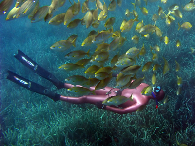 Επιχείρηση διάσωσης ψαροτουφεκά