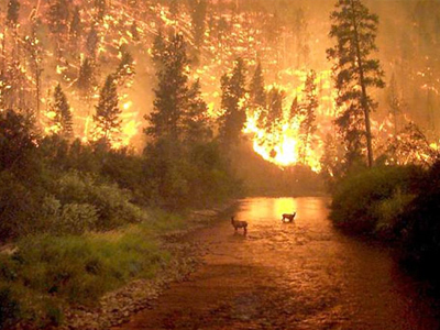 Συνελήφθη ηλικιωμένος για τη φωτιά στο Σχιστό
