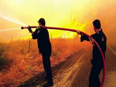 Φωτιά σε αγροτική έκταση στην Πρέβεζα