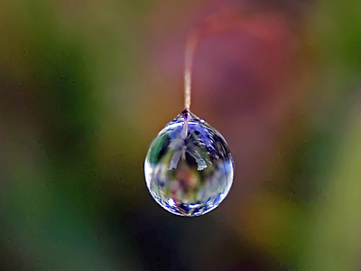 Η σταγόνα της βροχής… αποκαλύπτεται