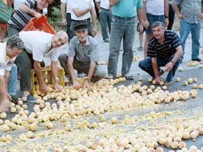 Συνεδριάζουν οι ροδακινοπαραγωγοί