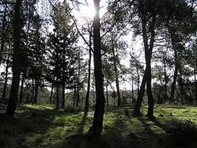 Και νέα ληστεία στο Σέιχ-Σου