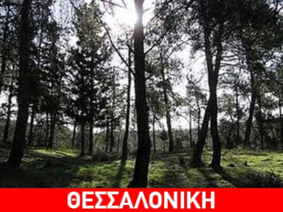 Νέα επίθεση στο Σέιχ Σου