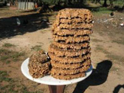 H σφηκοφωλιά… γιγαντώθηκε στη ντουλάπα