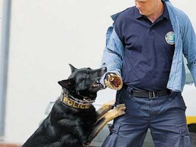 Ο σκύλος μύρισε την ηρωίνη